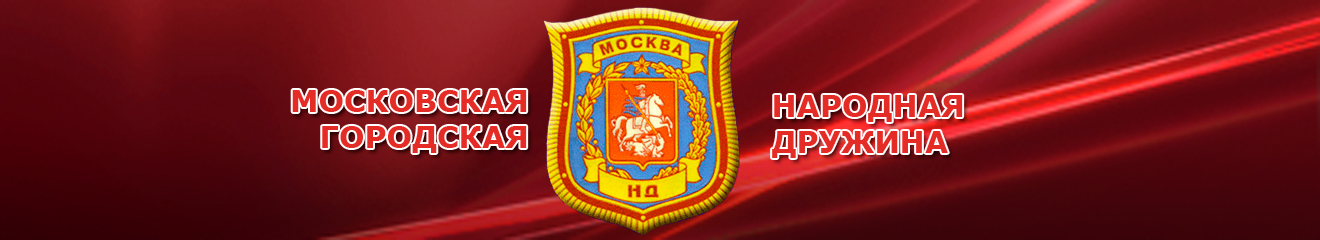 Московская городская народная дружина